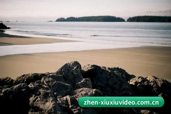 算力预测塌房